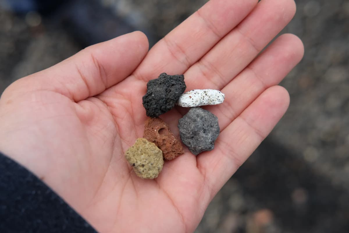 Close-up of diverse volcanic rocks held in a hand from Açores, Portugal.