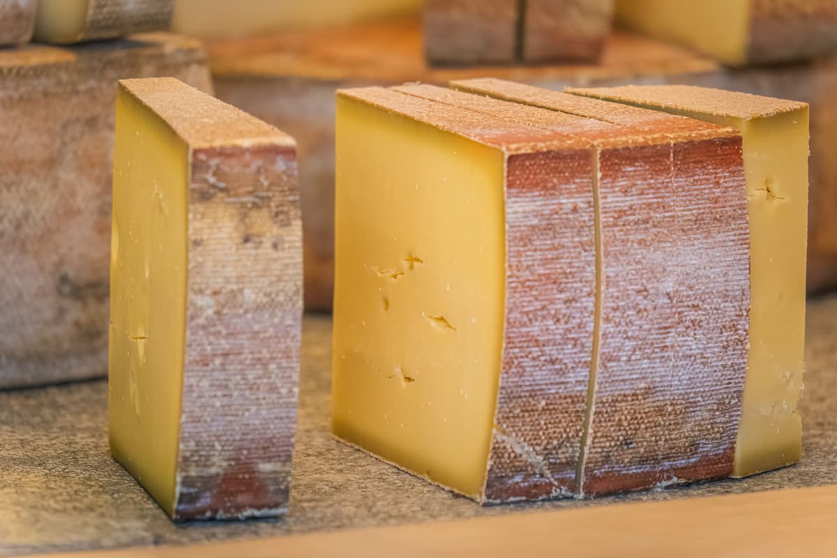 Parts de fromage São Jorge DOP des Açores
