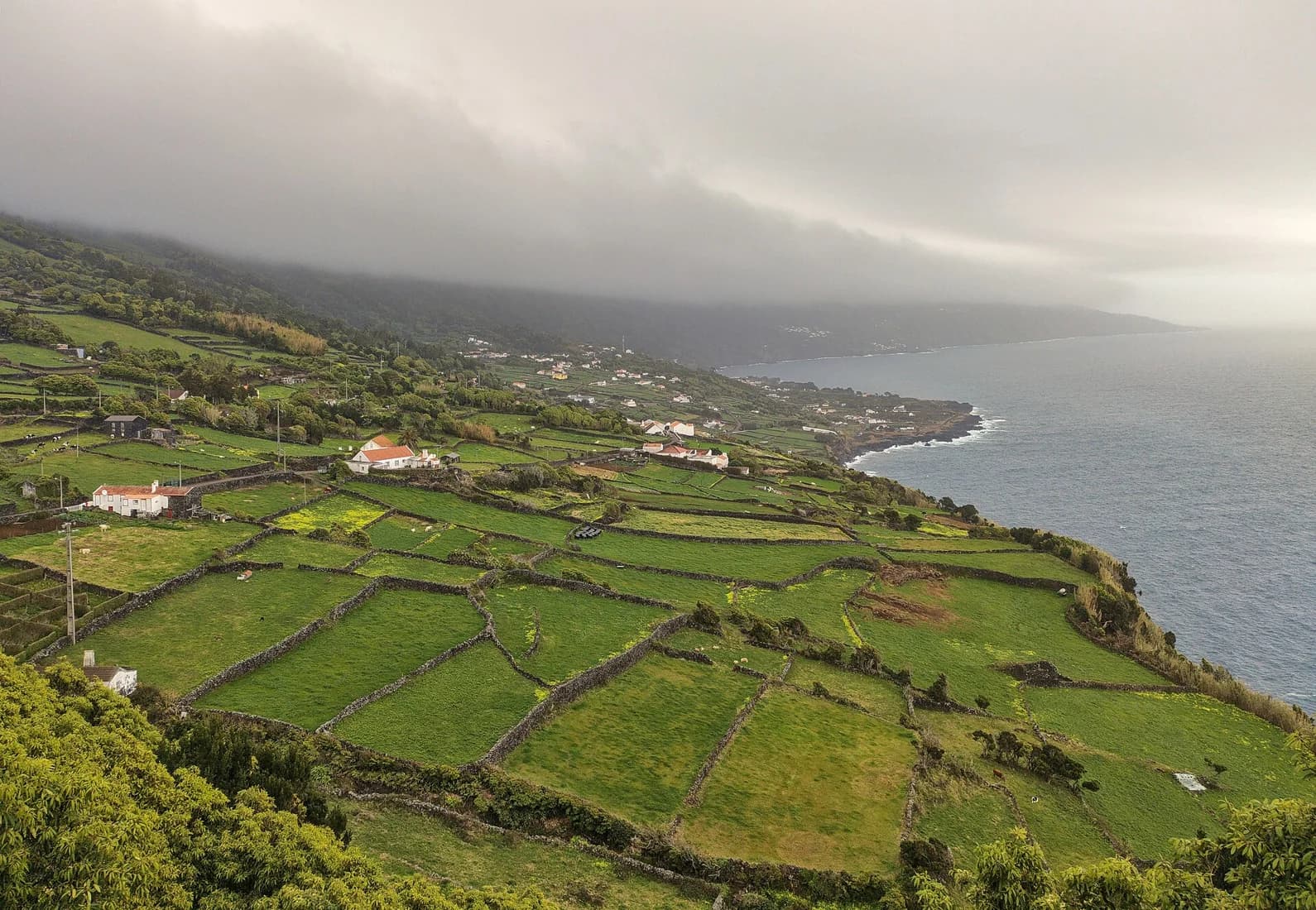 Vue de Lajes do Pico depuis le Miradouro do Arrife