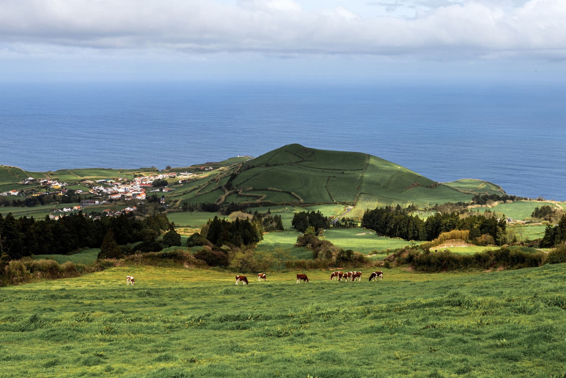 Le centre historique coloré d'Angra do Heroísmo à Terceira