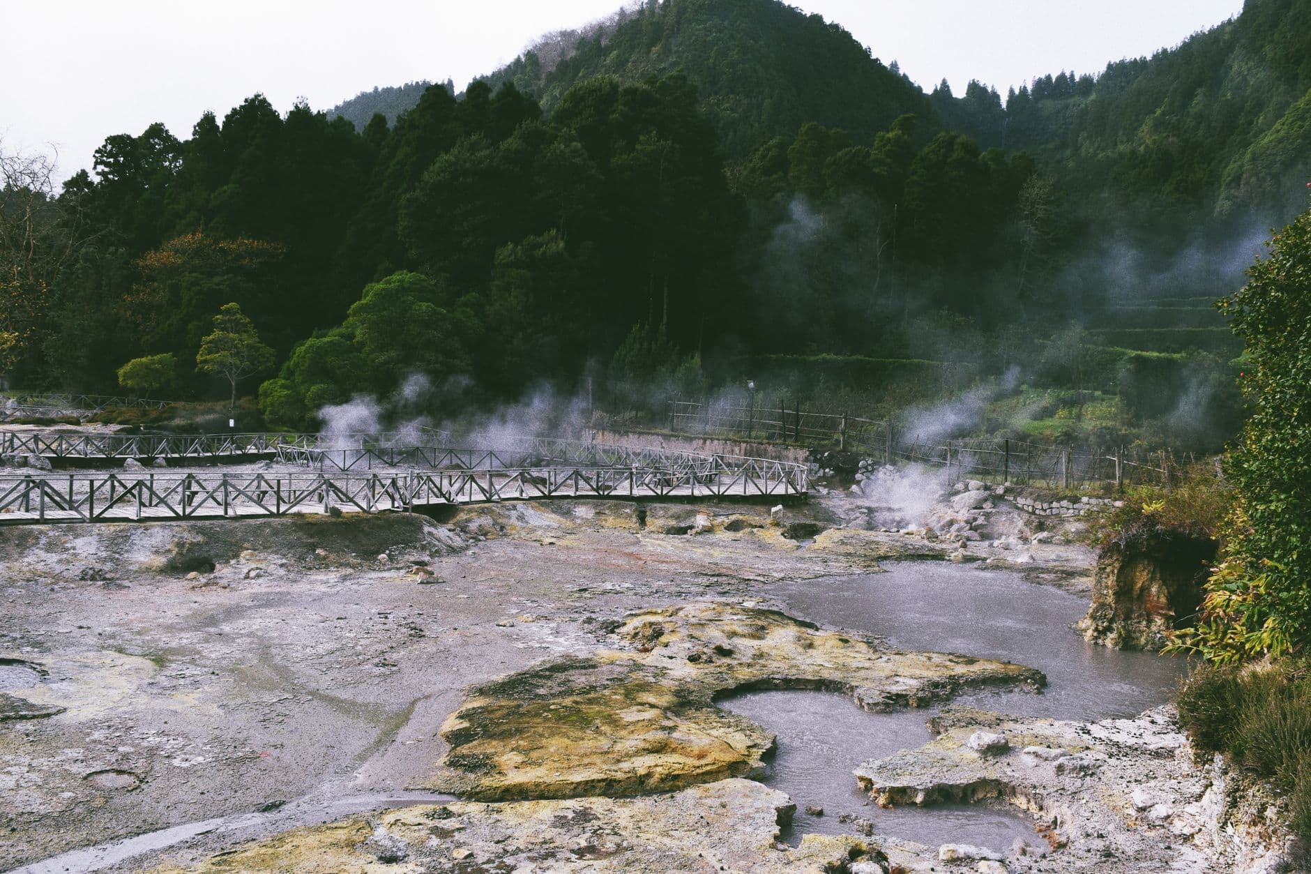 Bassin thermal couleur ocre entouré de végétation luxuriante à Furnas, São Miguel