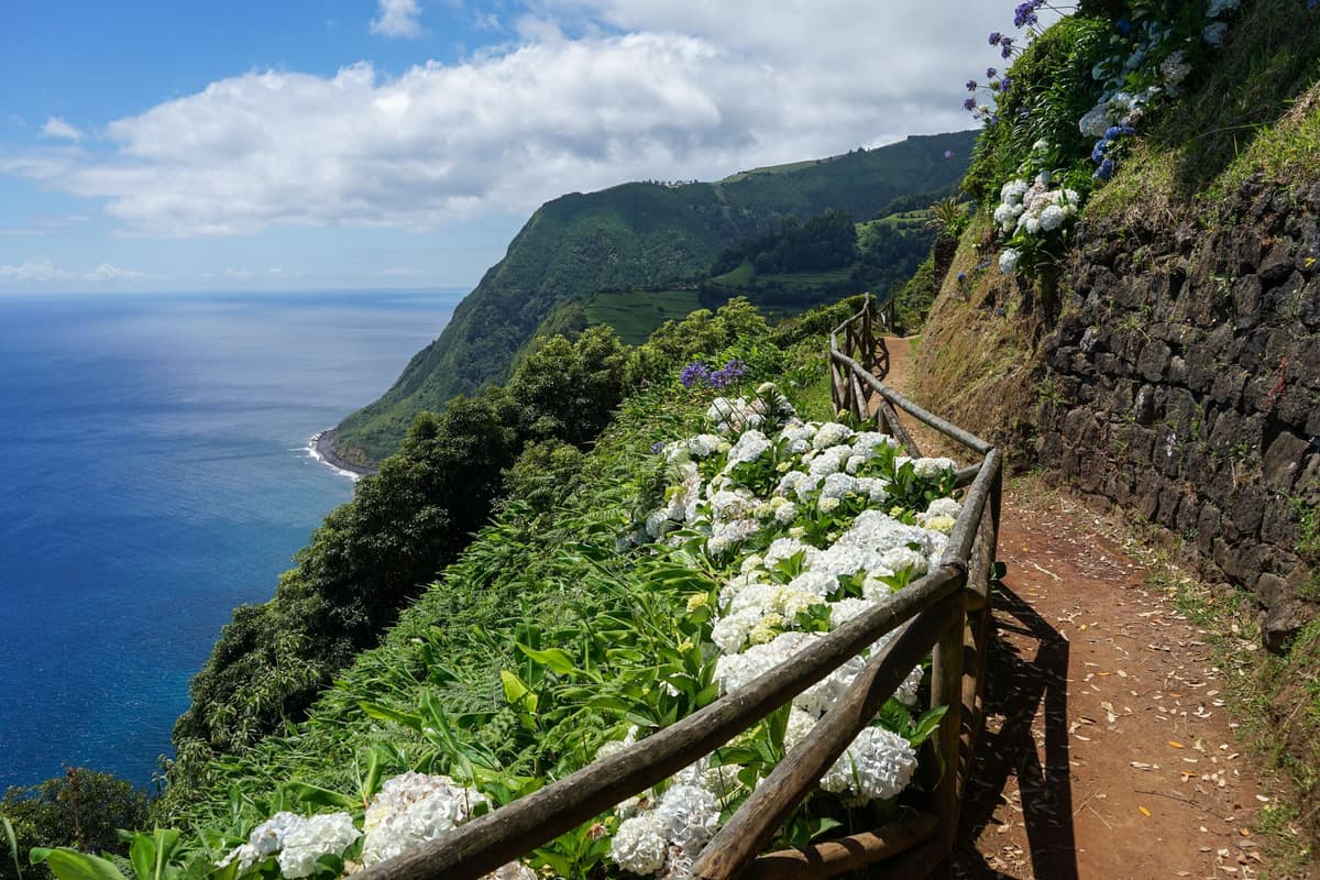 Route de montagne sinueuse aux Açores