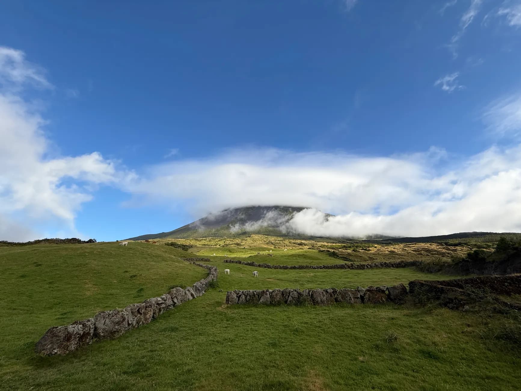 Ferry Horta–Madalena : réussir l’excursion de Faial à Pico